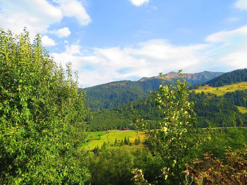 Hanul Prislop Statiunea Buitenkant foto
